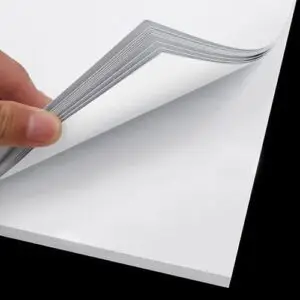 white cardboard